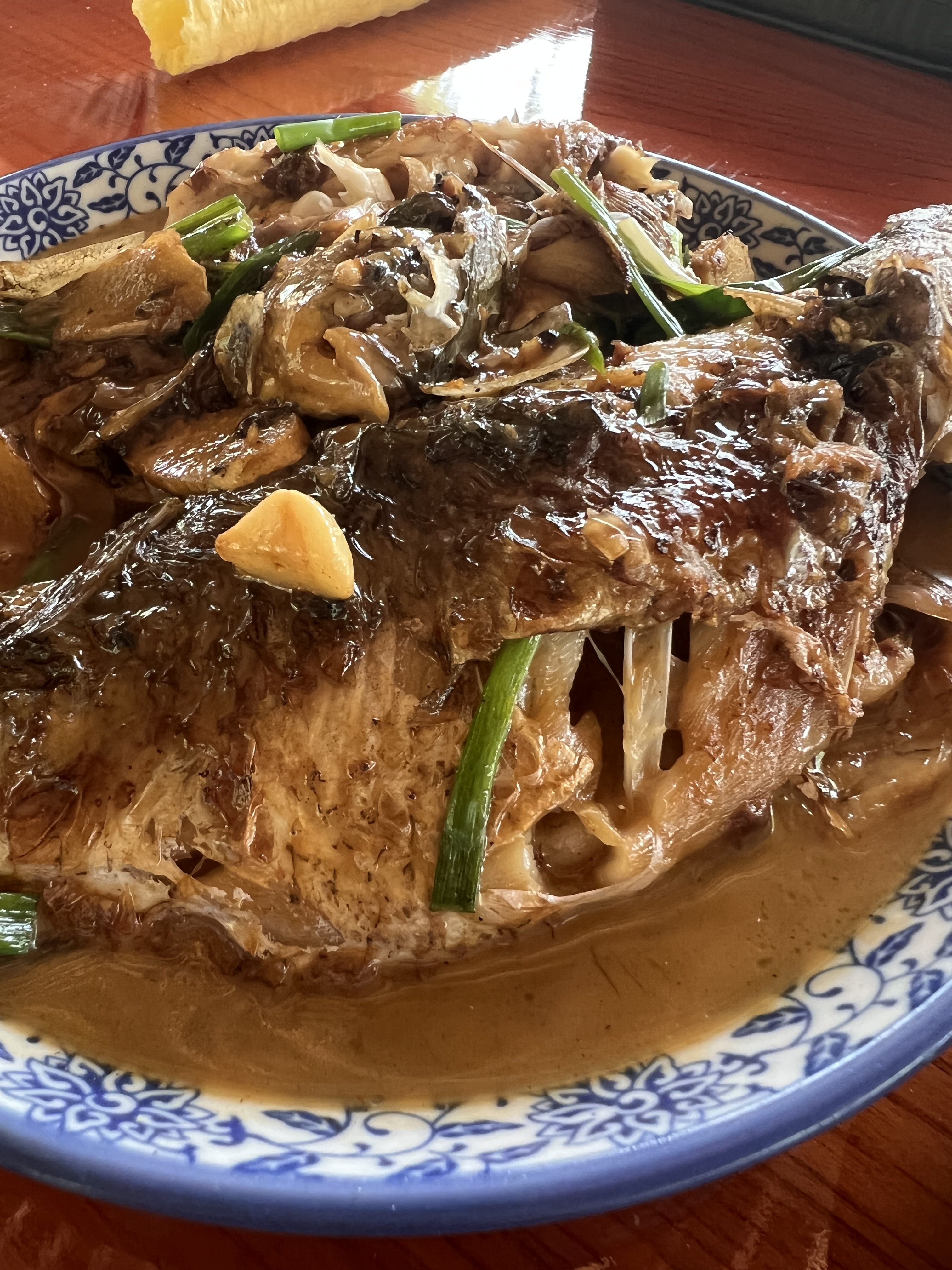 IMG_0158.JPG IMG_0158.JPG