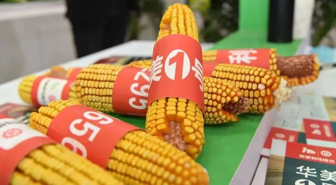 a390be0bd7736e8955582f95263f6f9a.jpg 法國農業