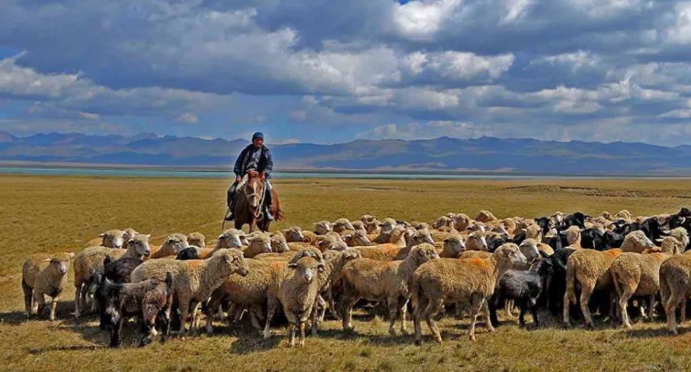 哈薩克斯坦農業