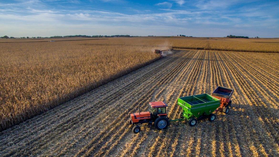 043747555429d8b5b19ed22c74114fe5.jpg 俄羅斯農業