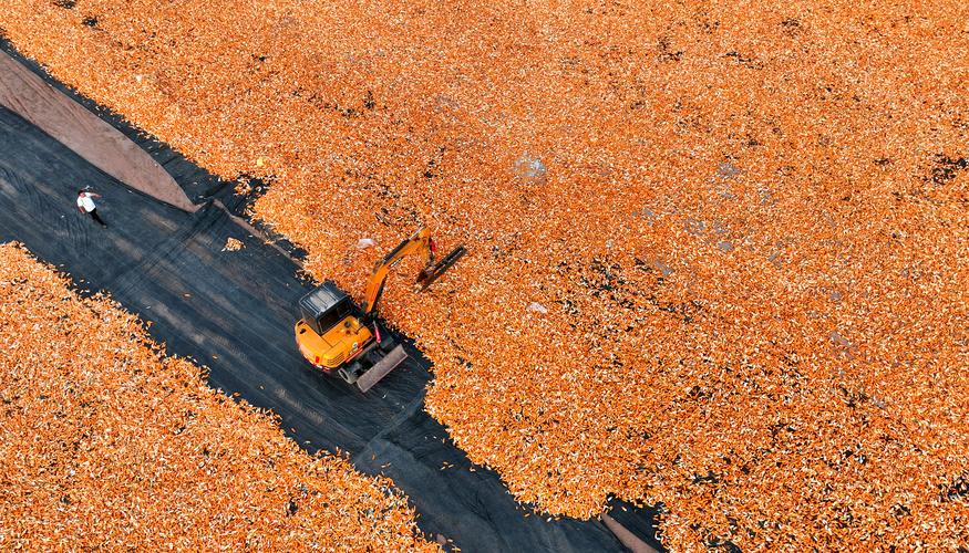 03aa79862f5598d616831d295c1915e8.jpeg 制種基地管理系統