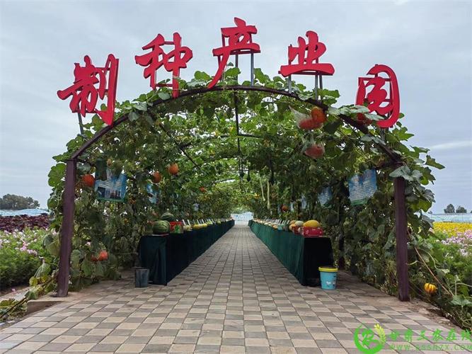 b2dc5234a6d54cae187f52458239729f.jpeg 數字化制種