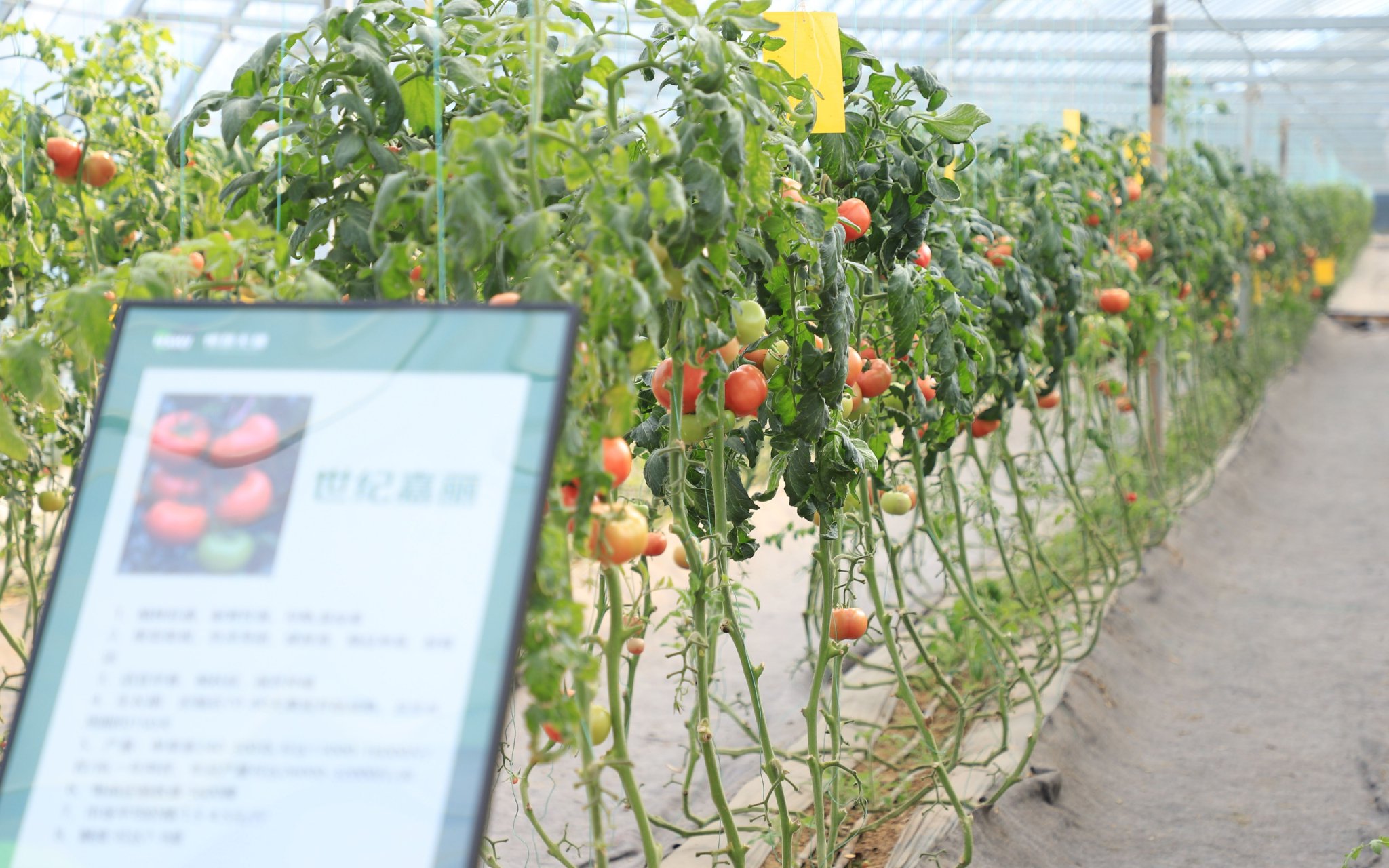 fa9a5e58ce6413f93a33c317fd4e8acf.jpg 種業大數據