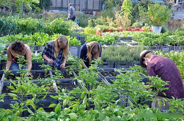 59adf97faac7dec28e5bb507dc29f367.jpeg 智慧農業