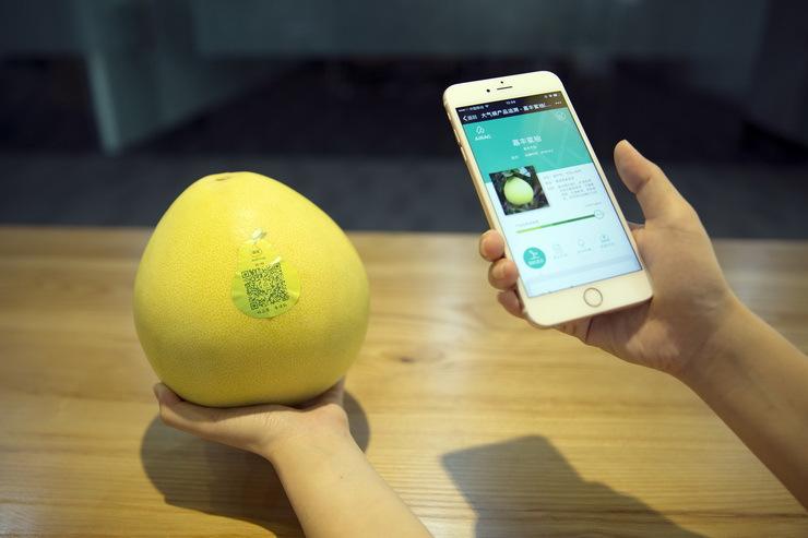 4f51540f5fa3c285230b247b638238d9.jpeg 4f51540f5fa3c285230b247b638238d9.jpeg