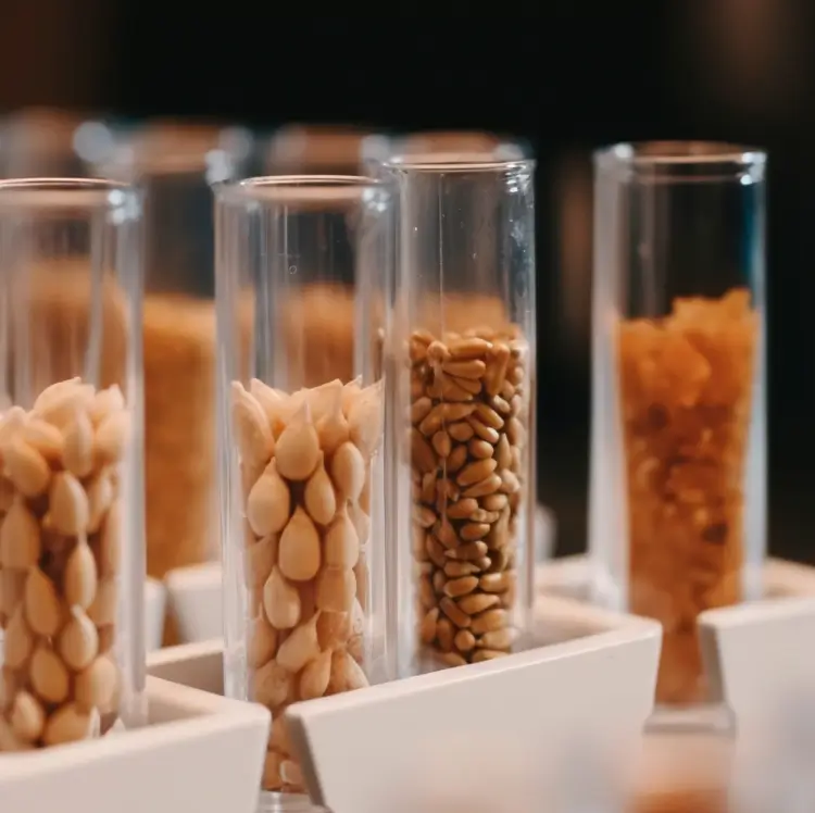 微信圖片_20241113170936.png 育種軟件