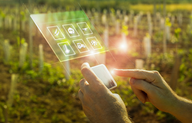 image_2024_04_16T05_48_50_852Z.png 種子產業鏈管理軟件