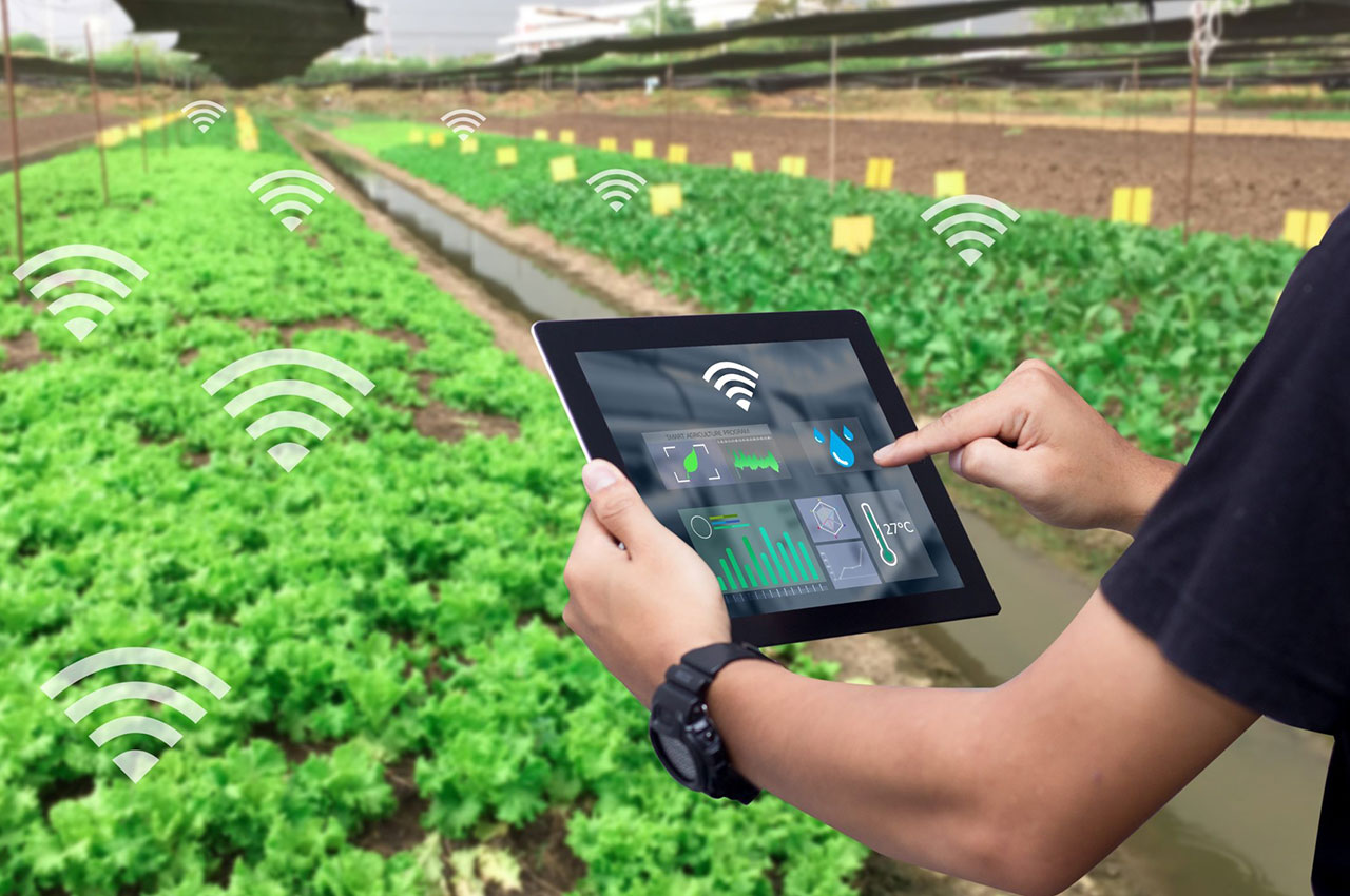農業物聯網