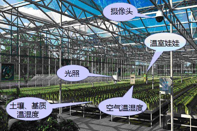 種業供應鏈管理軟件