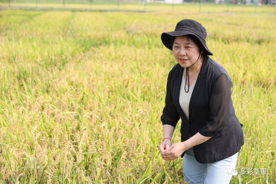 add50c653b8eeff1edc3b55af38519df.jpeg add50c653b8eeff1edc3b55af38519df.jpeg