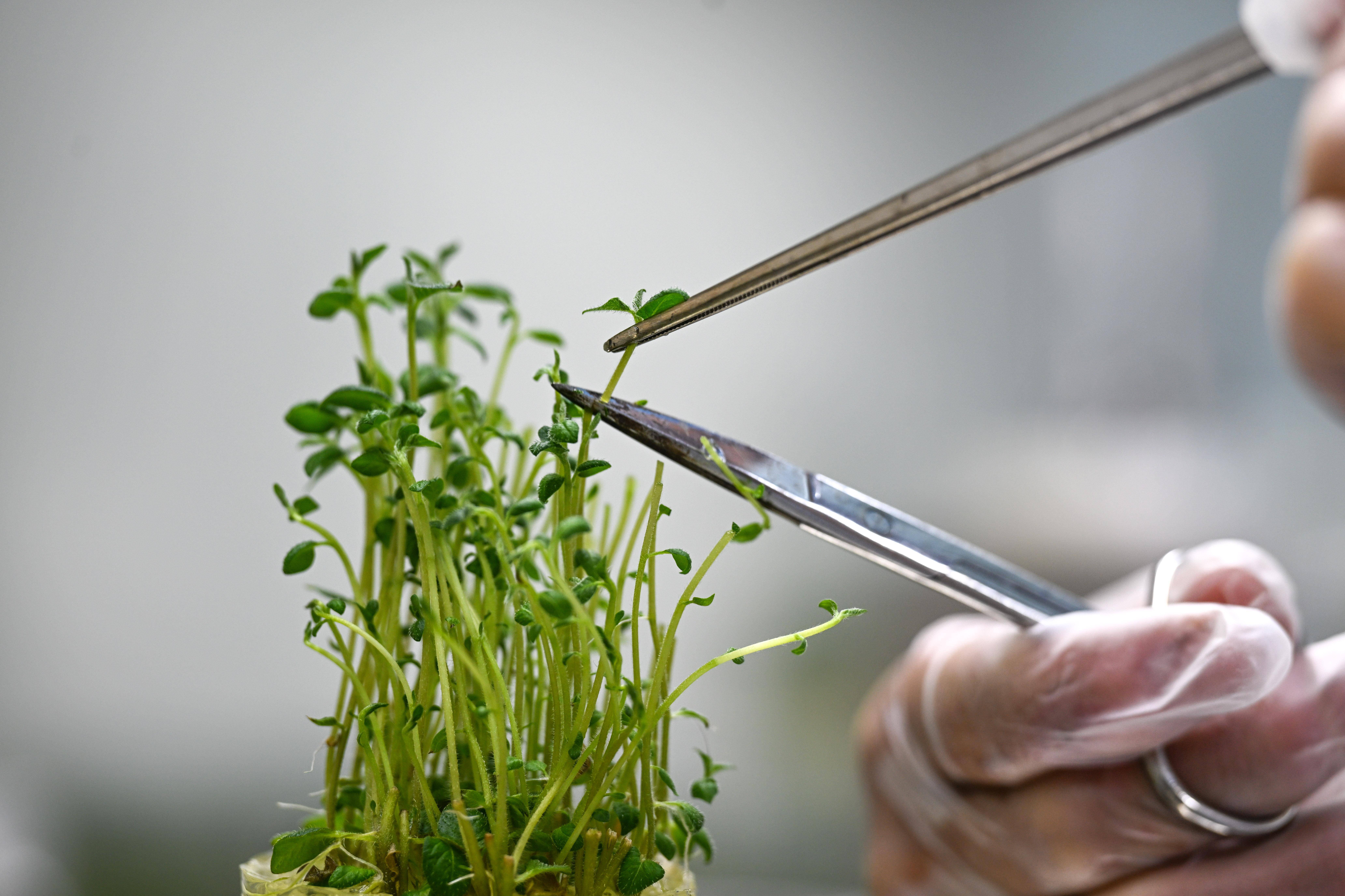 ebcc79ab2db33a1407de5de624ab7437.jpeg 農業數字化平臺