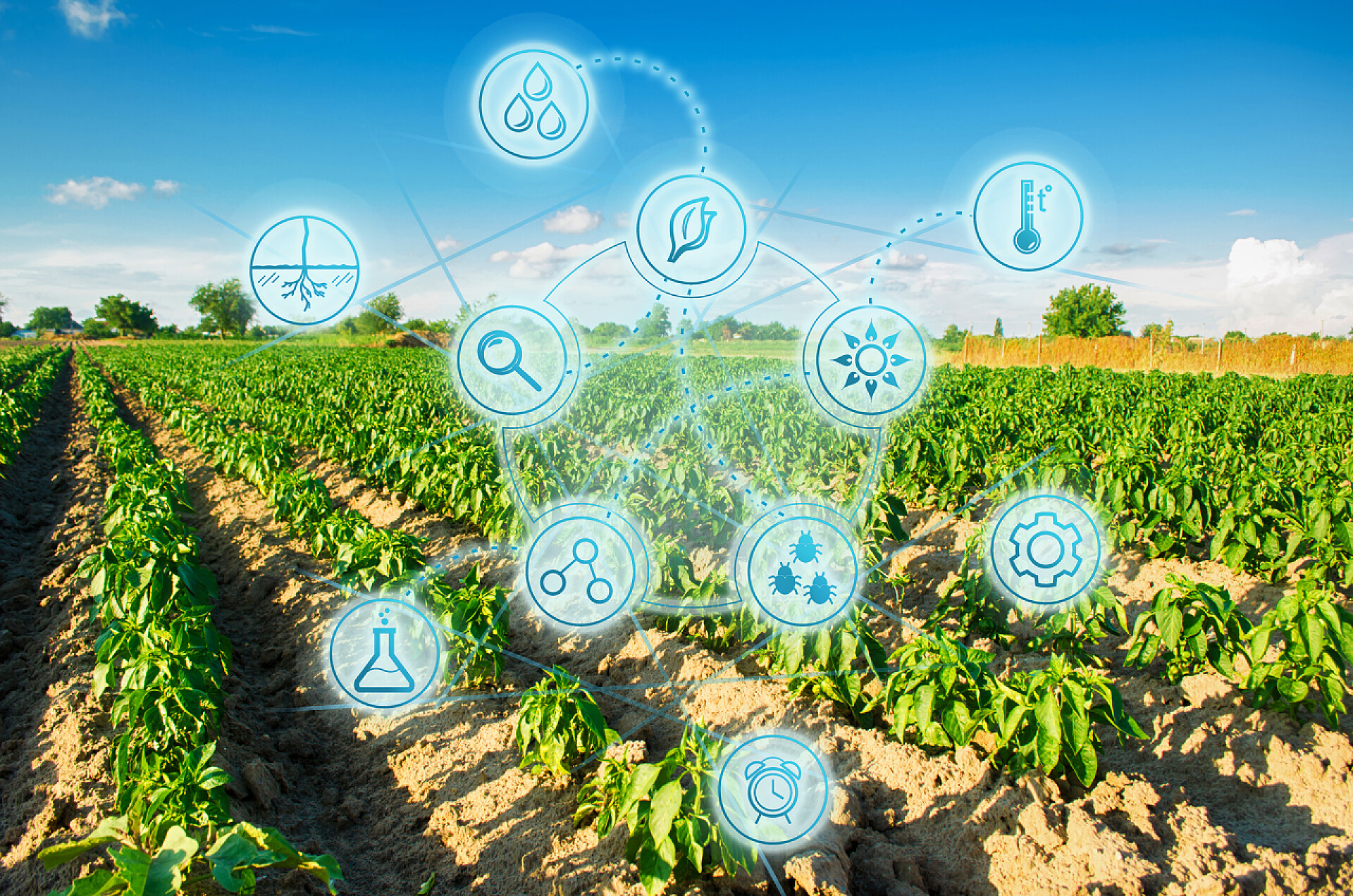 2f898c40a629ec5b2dccbb778437898e.jpg 智慧農業