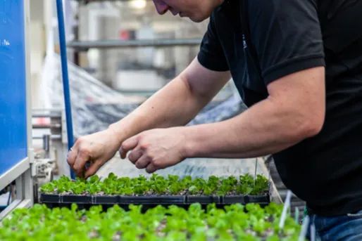 微信圖片_20250428162137.png 種子ERP軟件