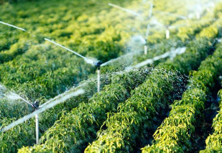 作物產量預測系統